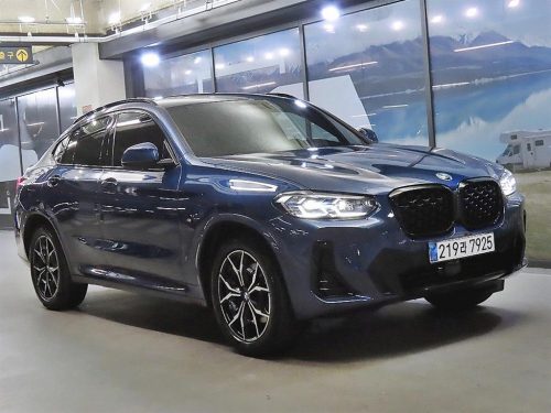 BMW X4 (G02) xDrive 20i M 스포츠 프로