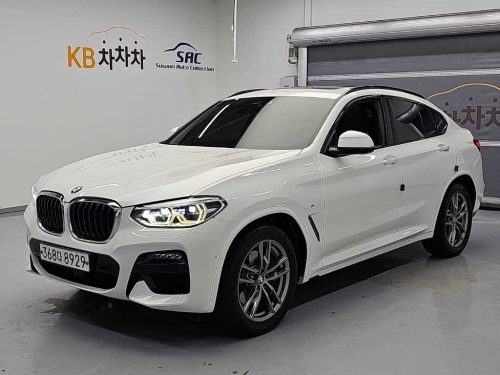 BMW X4 (G02) xDrive 20d M 스포츠