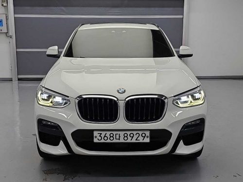 BMW X4 (G02) xDrive 20d M 스포츠 사진 2