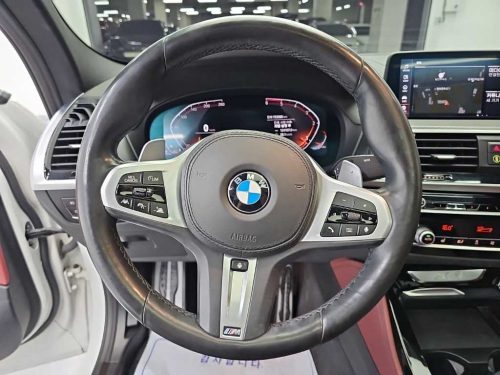 BMW X4 (G02) xDrive 20d M 스포츠 사진 9