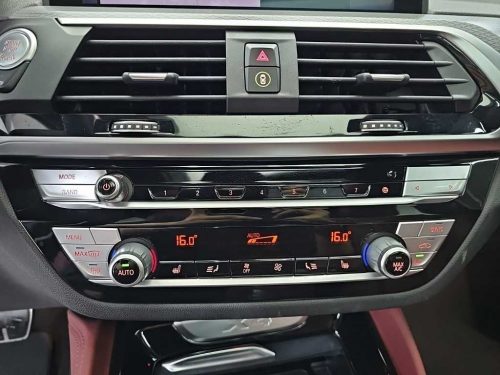 BMW X4 (G02) xDrive 20d M 스포츠 사진 10