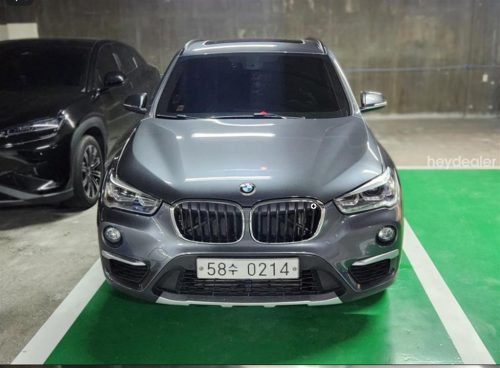 BMW X1 (F48) xDrive 18d