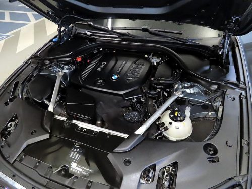 BMW 5시리즈 (G30) 520d xDrive M 스포츠 플러스 사진 19