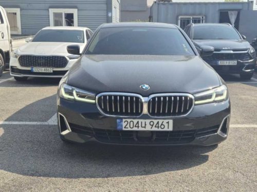 BMW 5시리즈 (G30) 520i M 스포츠