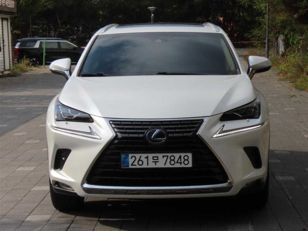 렉서스 NX 300h 슈프림