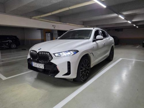 BMW X6 (G06) xDrive 30d M 스포츠