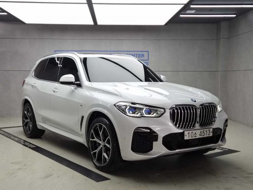 BMW X5 (G05) xDrive 30d M 스포츠 퍼스트 에디션