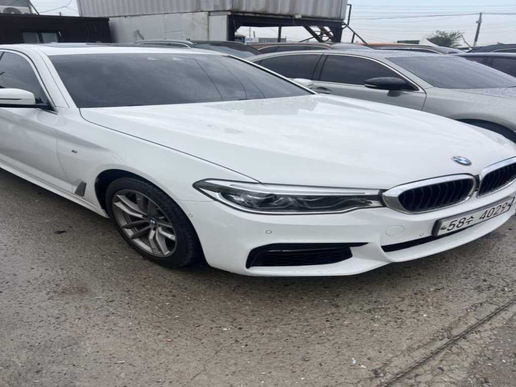 BMW 5시리즈 (G30) 520d xDrive M 스포츠 플러스