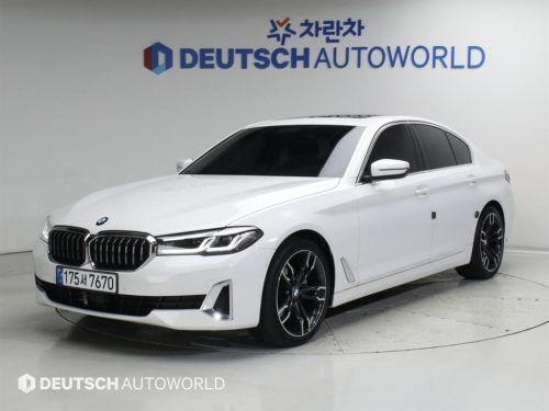 BMW 5시리즈 (G30) 523d 럭셔리