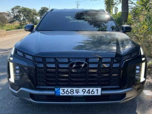 현대 더 뉴 팰리세이드 디젤 2.2 4WD