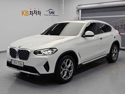 BMW X4 (G02) xDrive 20i xLine