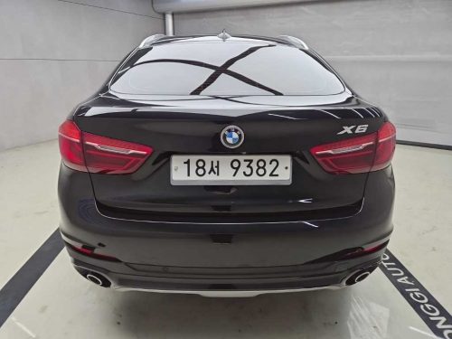 BMW X6 (F16) xDrive 30d 사진 3