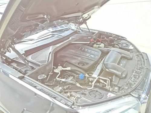 BMW X6 (F16) xDrive 30d 사진 16