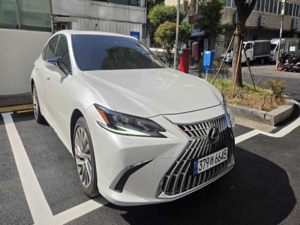차량 사진