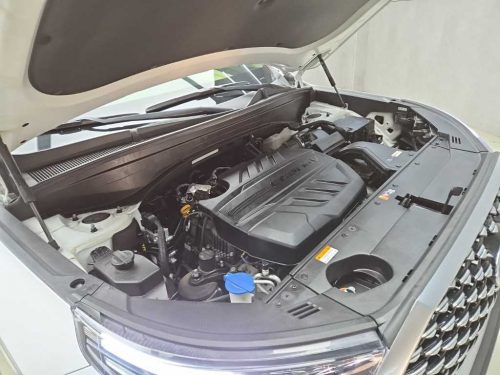 현대 팰리세이드 디젤 2.2 4WD 사진 17