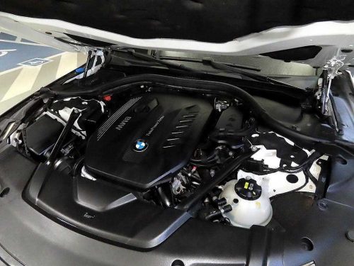 BMW 7시리즈 (G11) 730Ld xDrive M 스포츠 사진 19