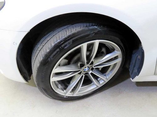 BMW 7시리즈 (G11) 730Ld xDrive M 스포츠 사진 20