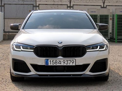 BMW 5시리즈 (G30) 530i xDrive M 스포츠 플러스