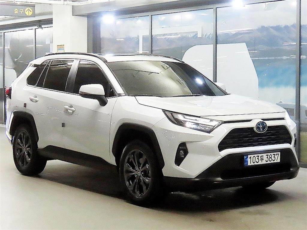 토요타 RAV4(5세대) 2.5 2WD 하이브리드 XLE