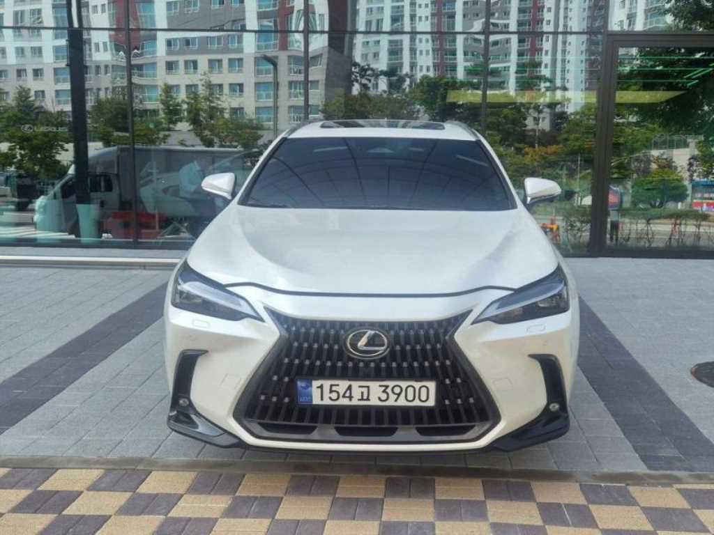 렉서스 NX 350h 프리미엄