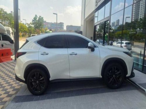 렉서스 NX 350h 프리미엄 사진 2