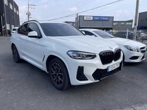 BMW X4 (G02) xDrive 20i M 스포츠