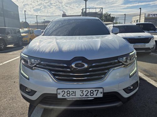르노코리아(삼성) QM6 가솔린 2WD LE
