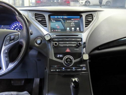 현대 그랜저 HG HG220 PREMIUM 사진 11